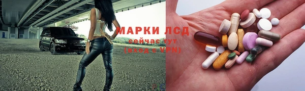 гидропоника Алзамай