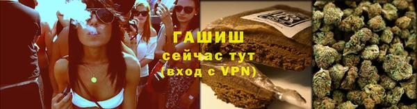 гидропоника Алзамай