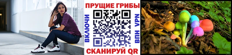 Псилоцибиновые грибы ЛСД  Севастополь 